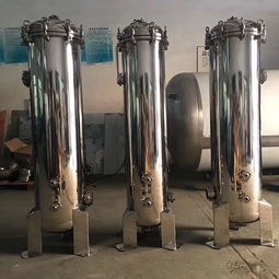 不銹鋼精密過濾器 卡箍式法蘭吊環(huán) 5芯30寸 大流量濾芯式過濾器 預過濾