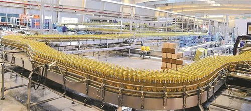 不吃老本 再立新功 南疆師市聚力打造“成本洼地”，構筑“投資高地”